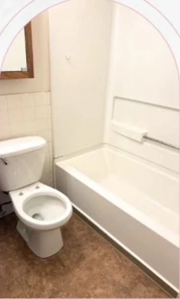 Clean bathtub and toilet after cleaning